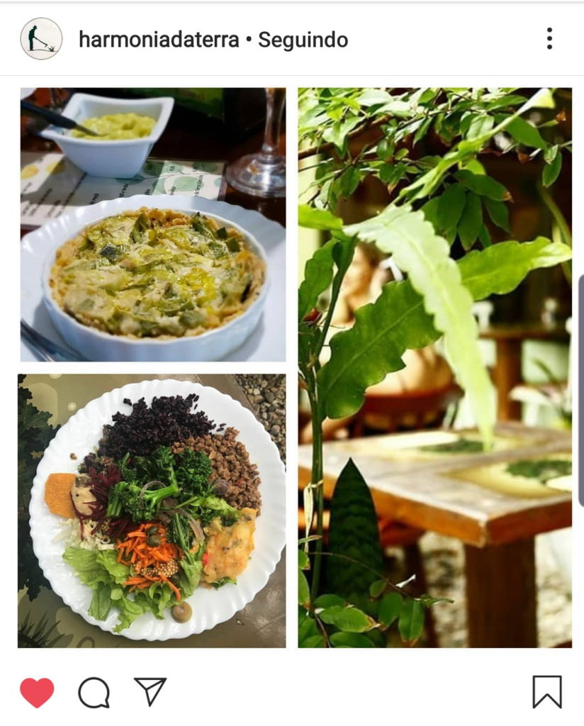 restaurante vegano em Balneário Camboriu